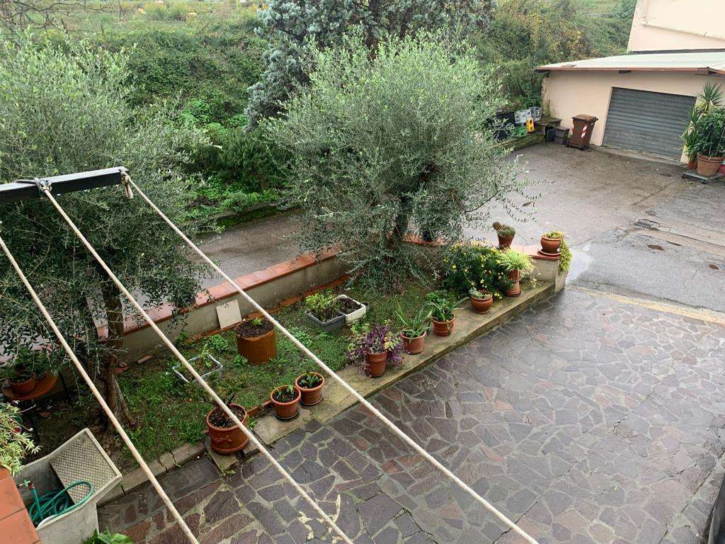 immagine annuncio 6 di 12