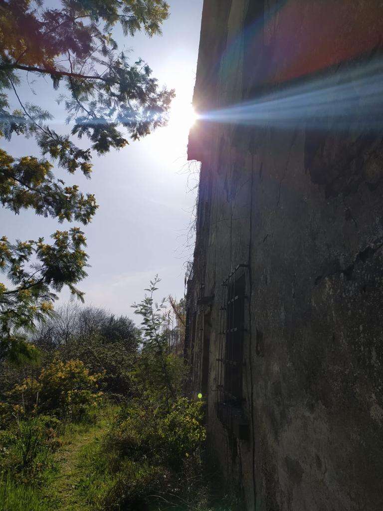  - foto 4
