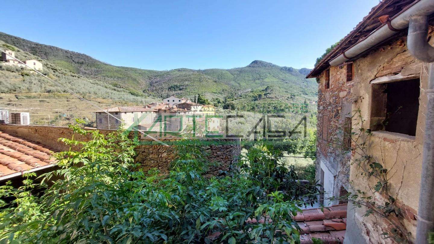 immagine annuncio 1 di 14