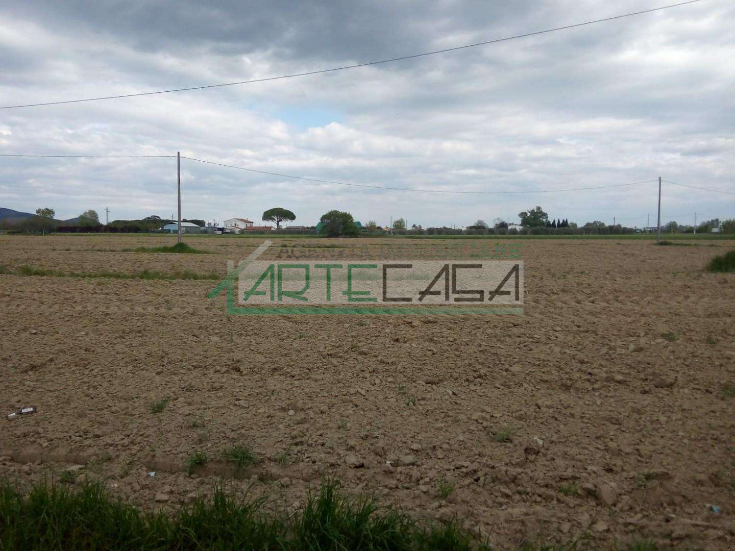 Terreno agricolo in Vendita a Cascina PI