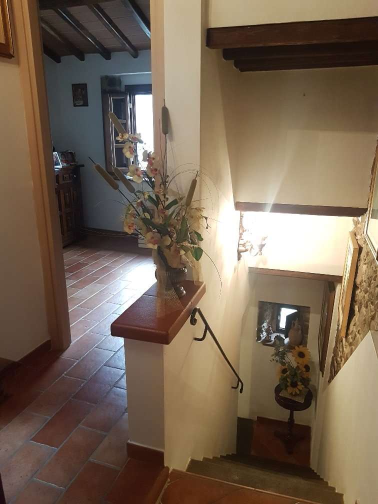  - foto 18