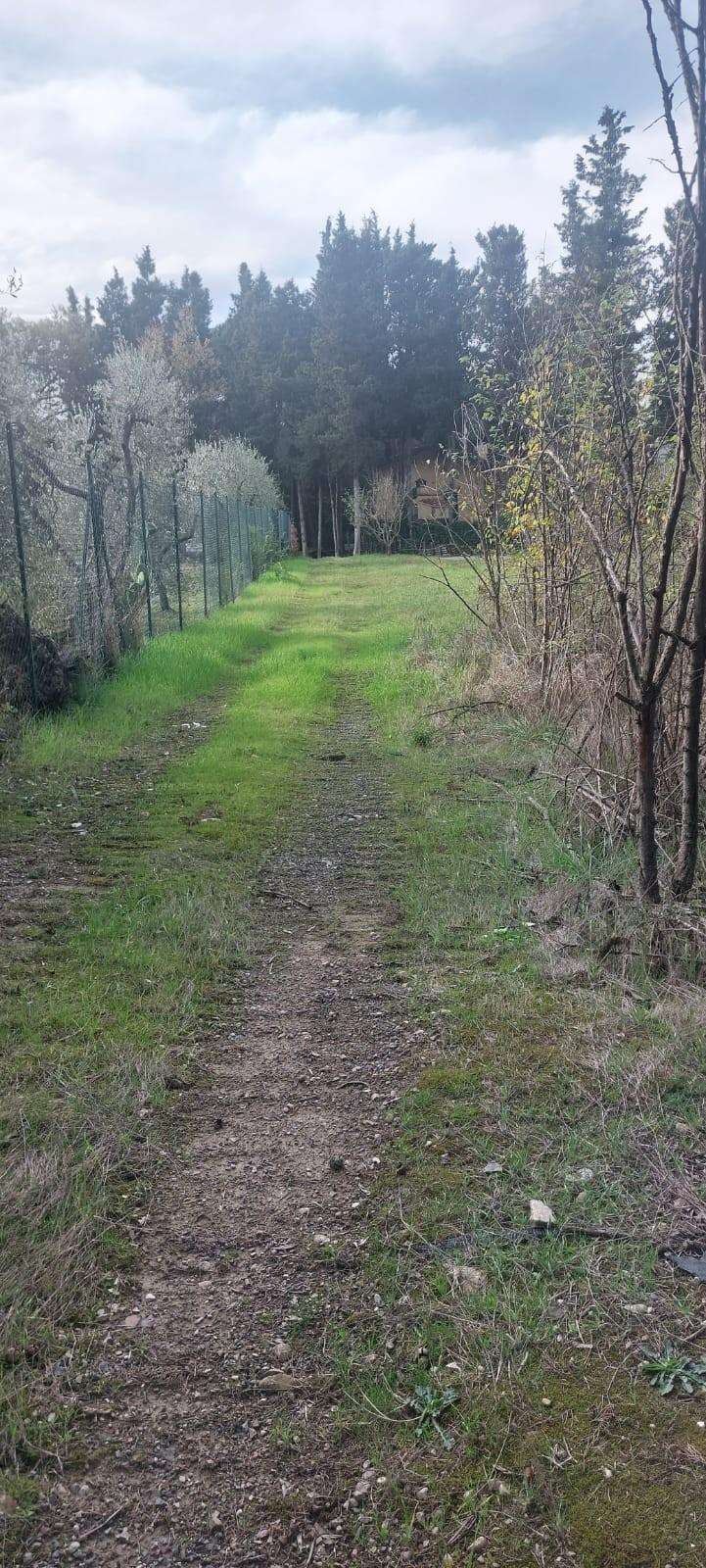  - foto 4