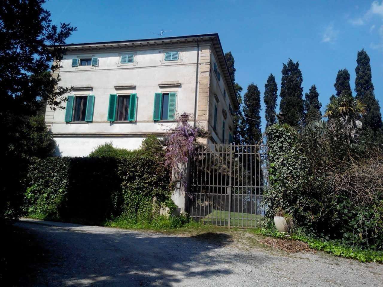 immagine annuncio 6 di 13