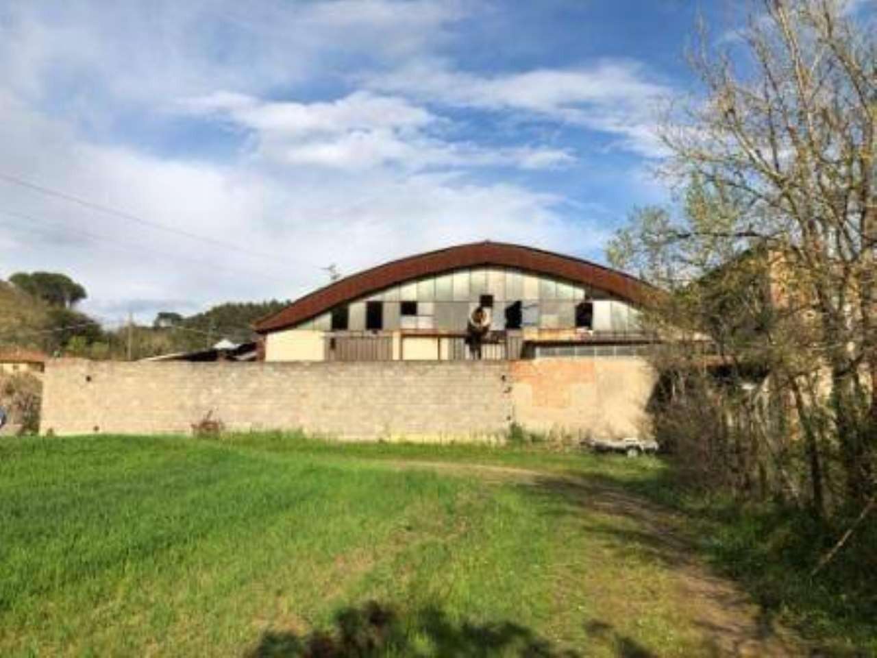immagine annuncio 2 di 3