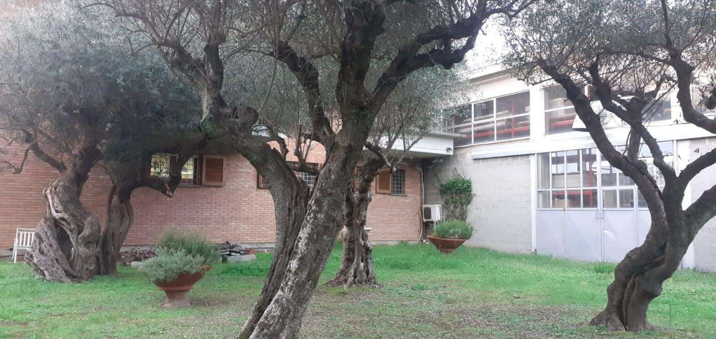  - foto 2