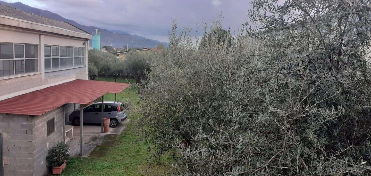  - foto 6