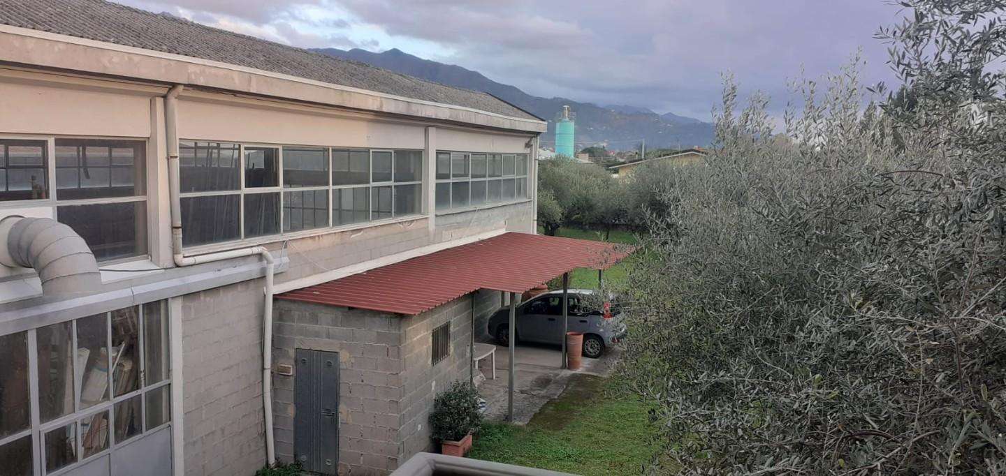  - foto 7