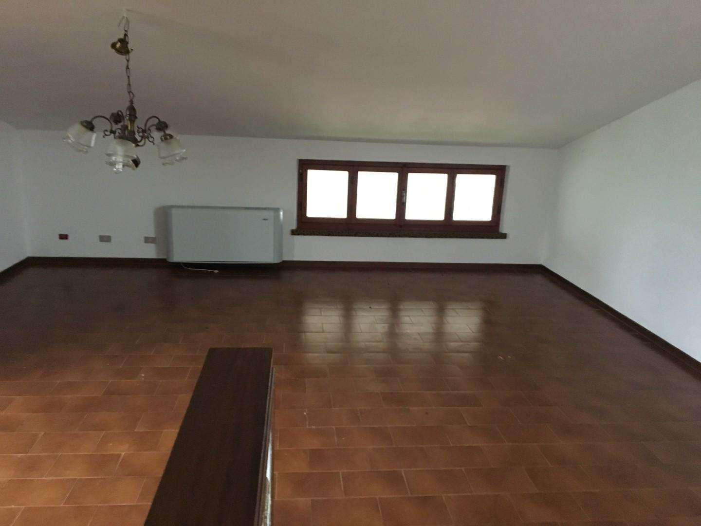  - foto 14