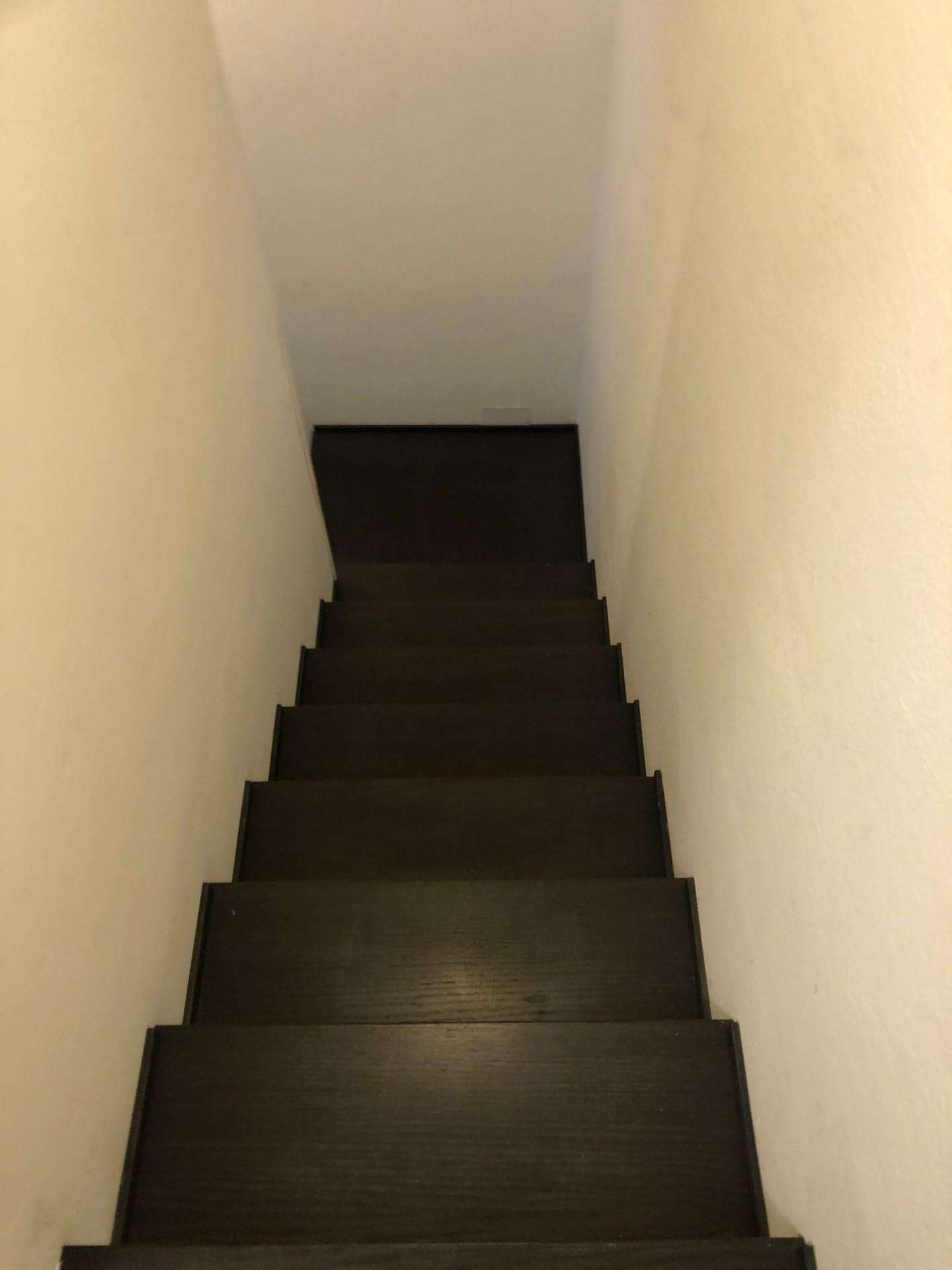  - foto 13