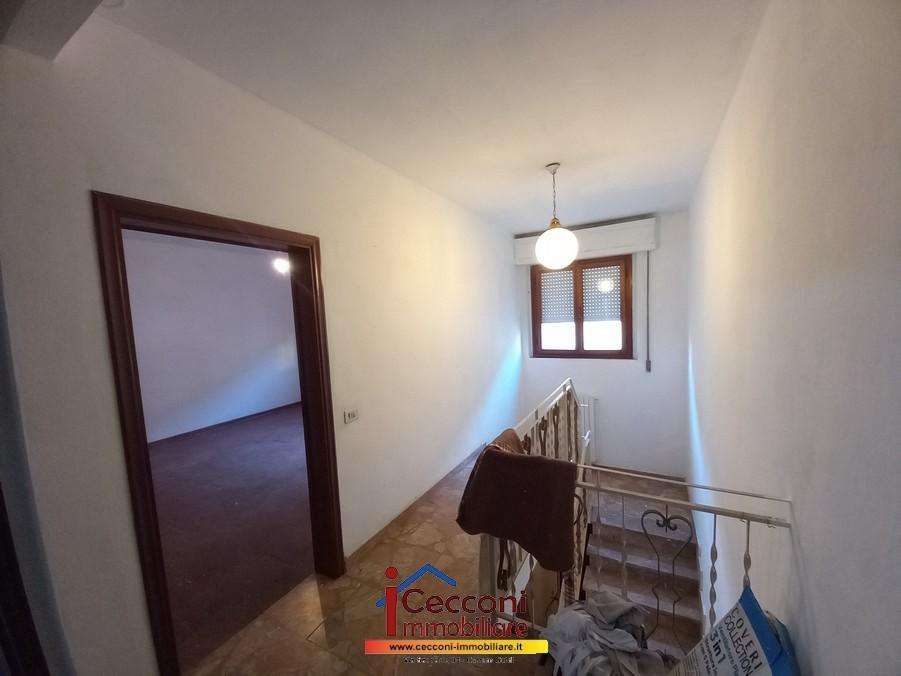  - foto 11