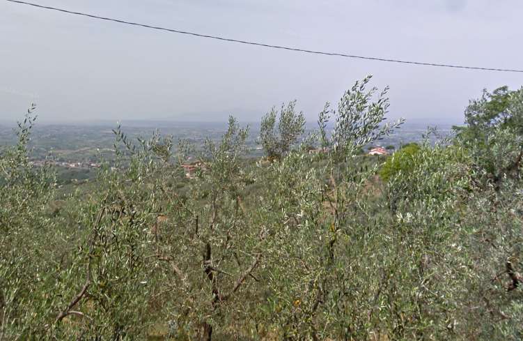 immagine annuncio 1 di 3