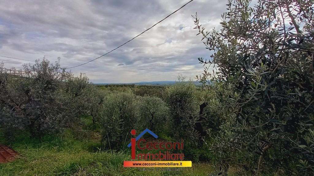  - foto 21