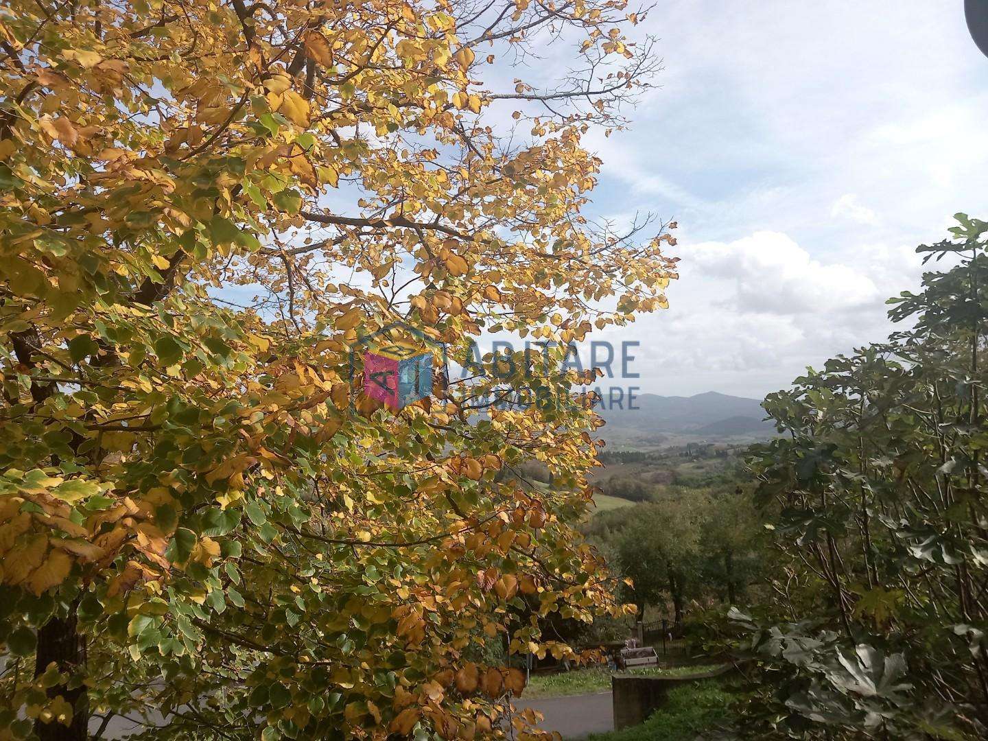  - foto 38