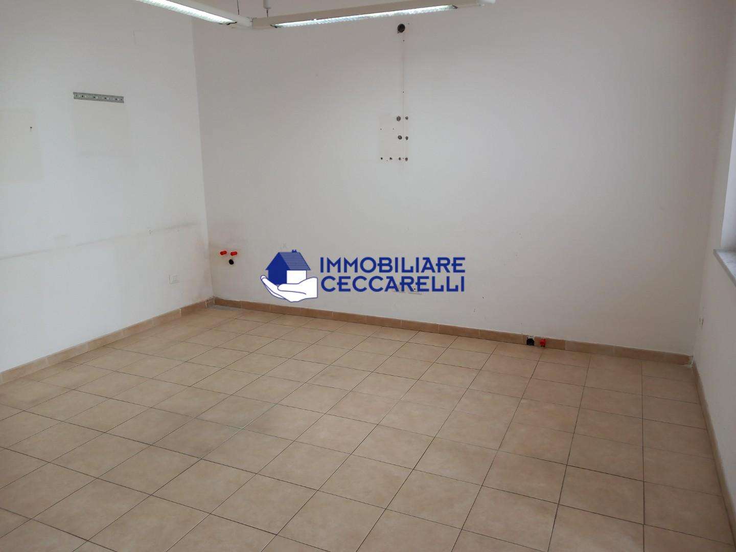  - foto 11