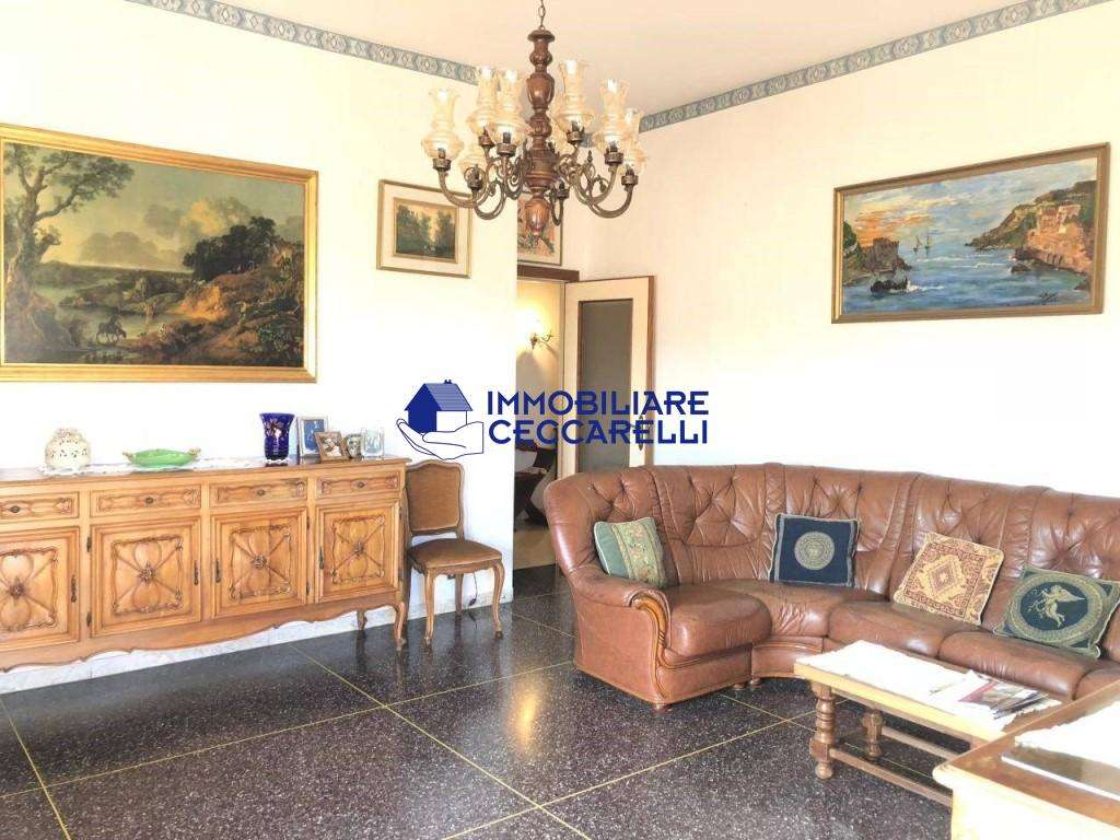 immagine annuncio 6 di 14