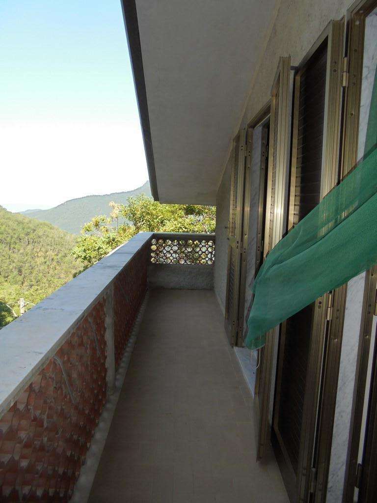 - foto 19