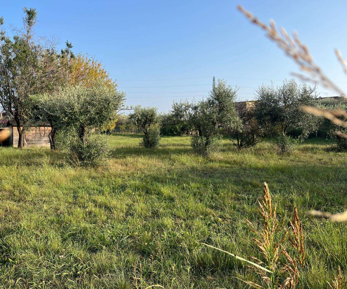 Terreno agricolo in Vendita a Massa Massa MS,