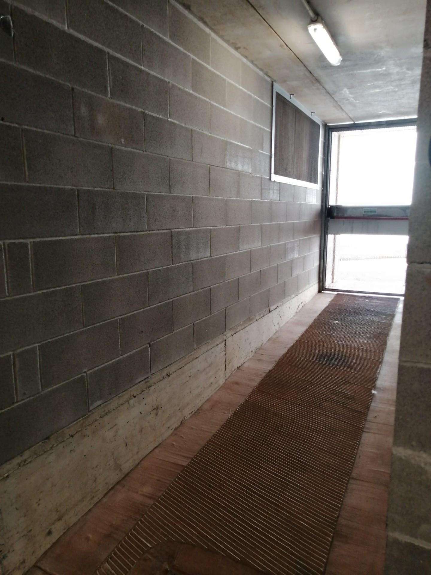 - foto 3