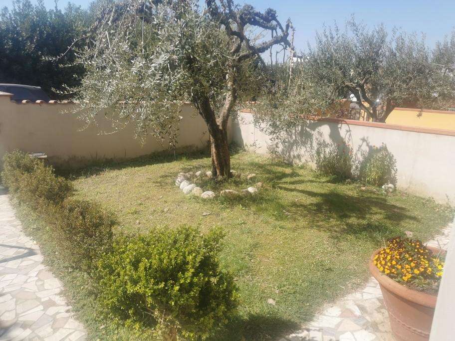 immagine annuncio 6 di 14