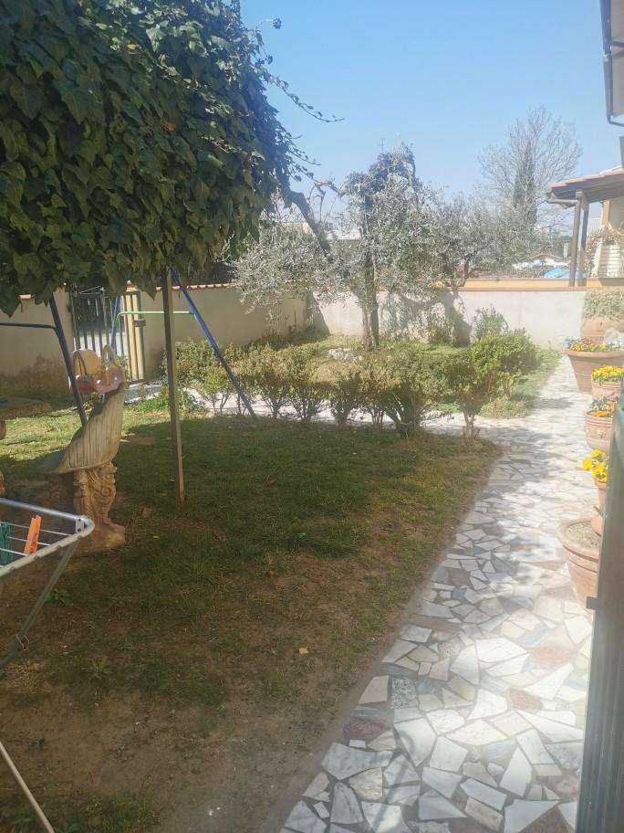 immagine annuncio 7 di 14