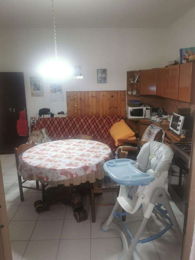 immagine annuncio 12 di 14