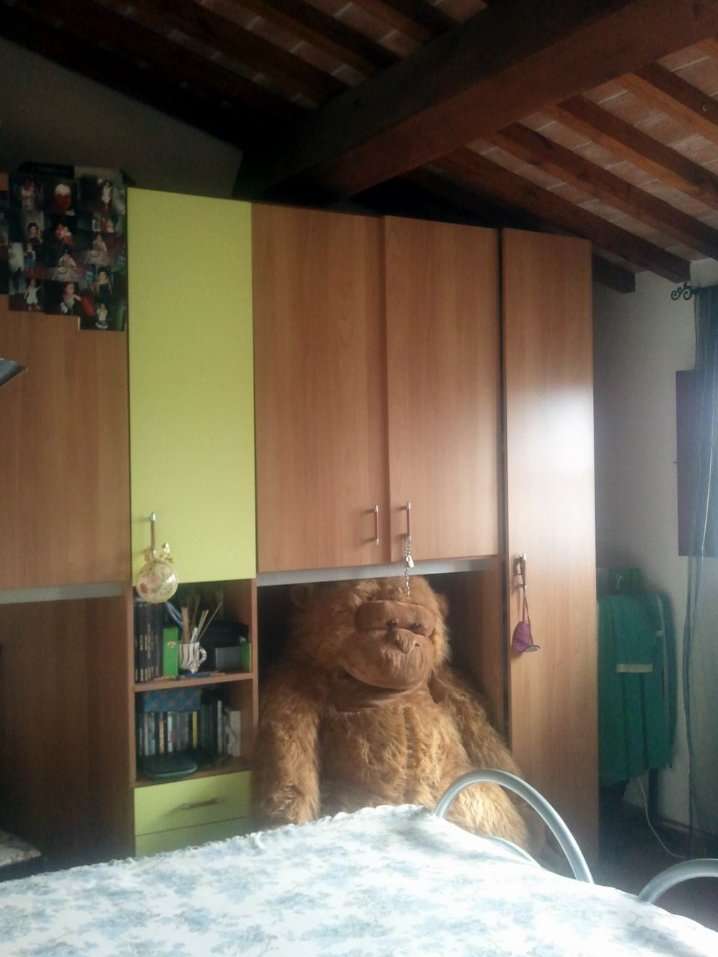 immagine annuncio 3 di 7
