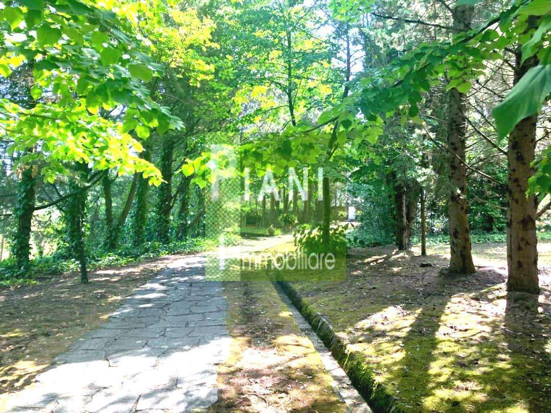  - foto 15