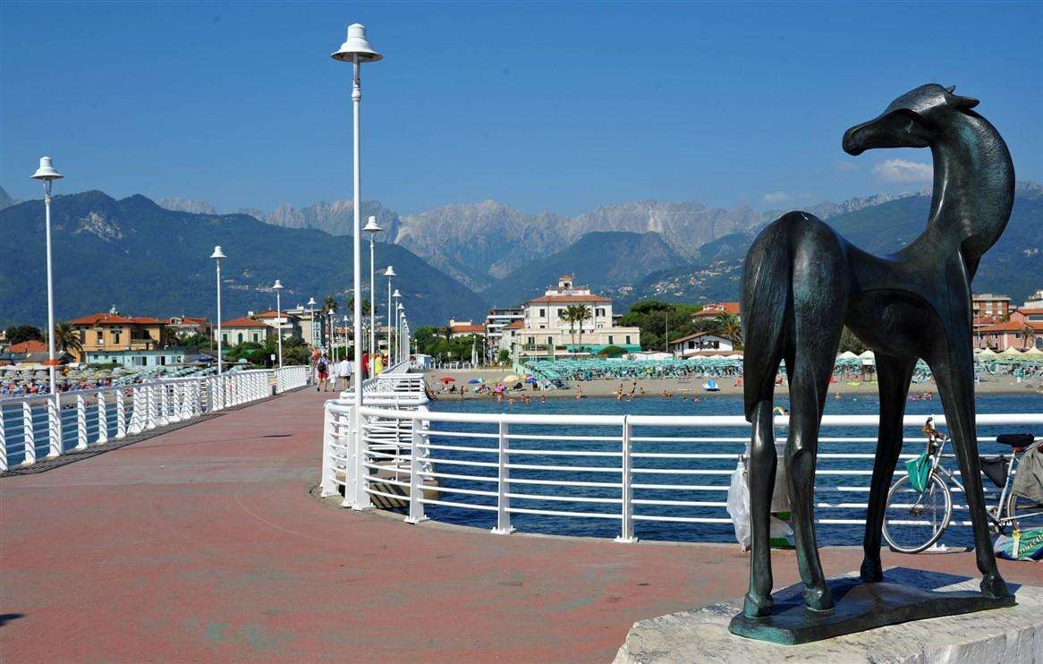 immagine annuncio 8 di 13