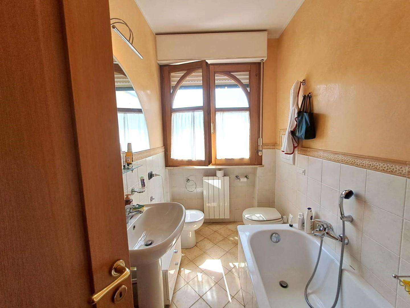 immagine annuncio 12 di 14