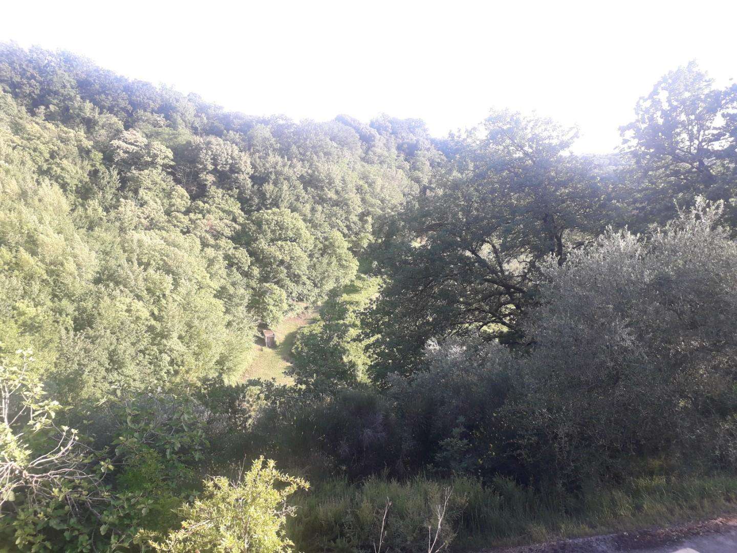 - foto 26