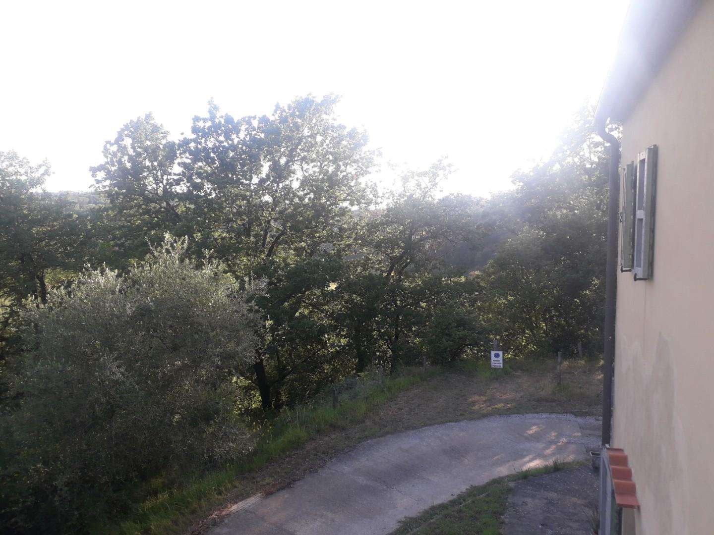  - foto 27