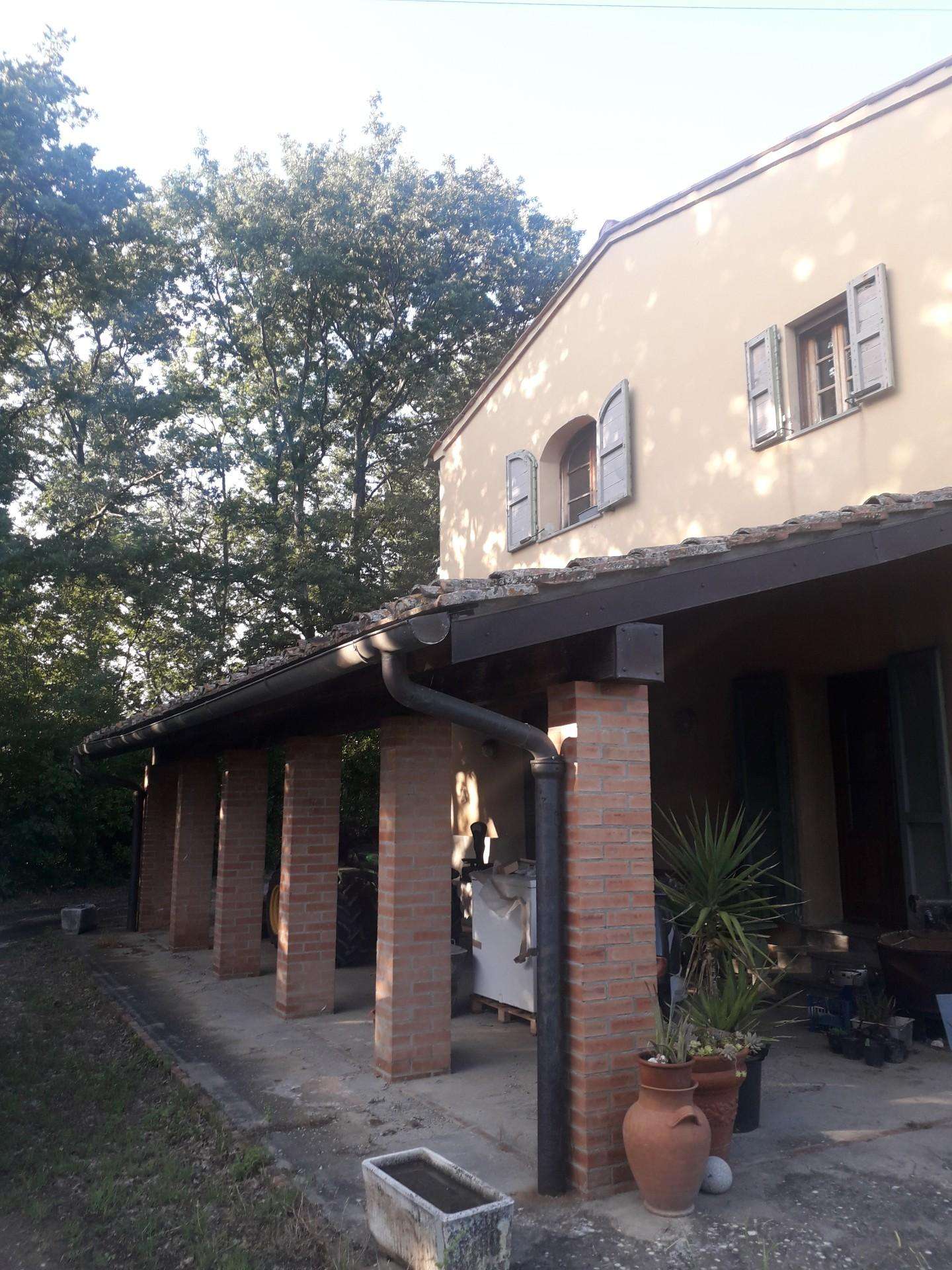  - foto 30