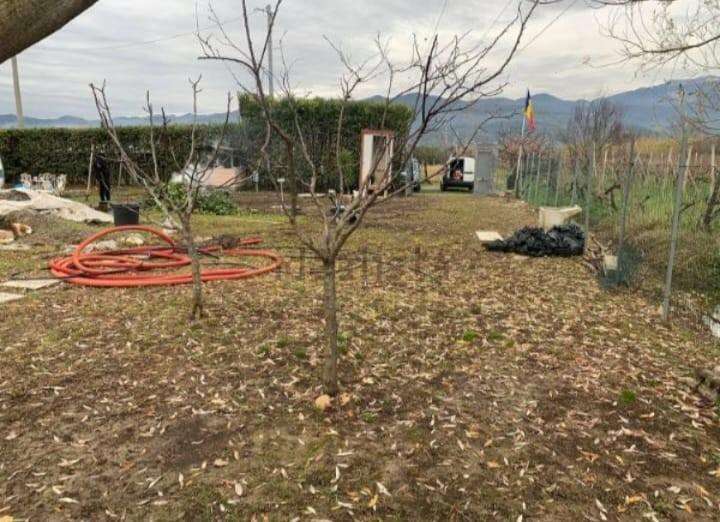 immagine annuncio 1 di 8