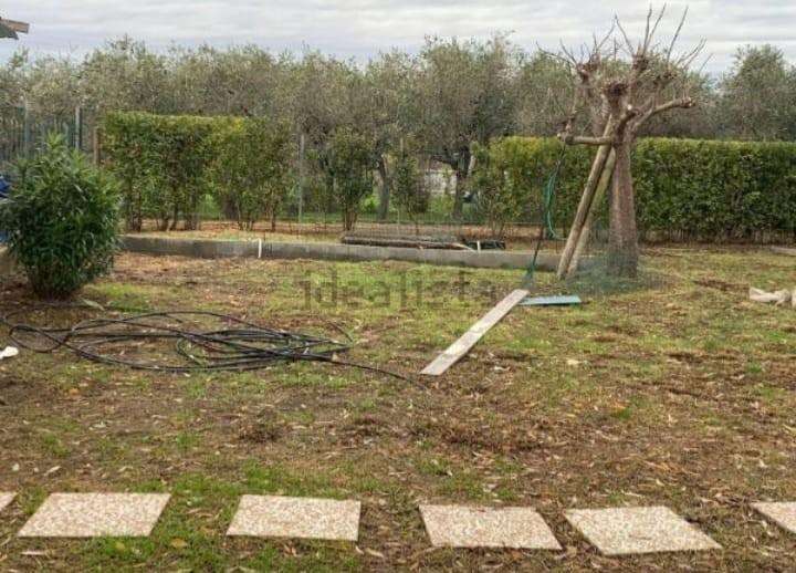immagine annuncio 6 di 8