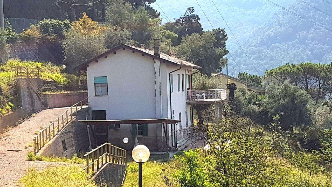  - foto 7