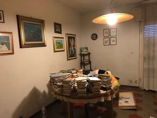 immagine annuncio 12 di 14