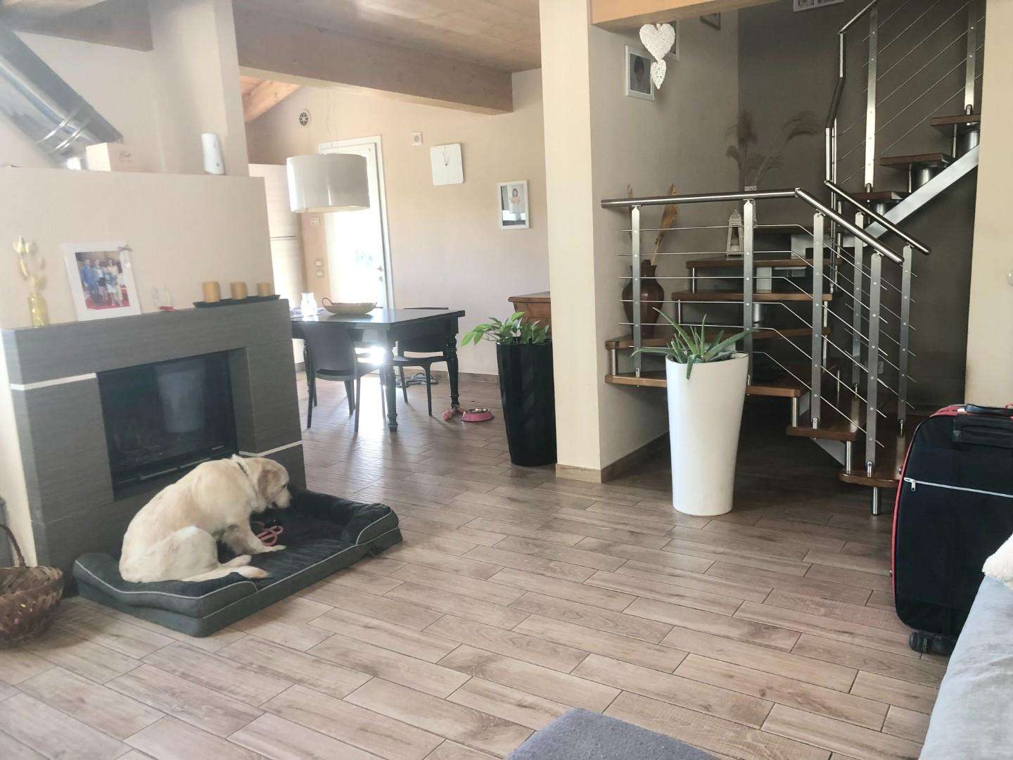  - foto 16