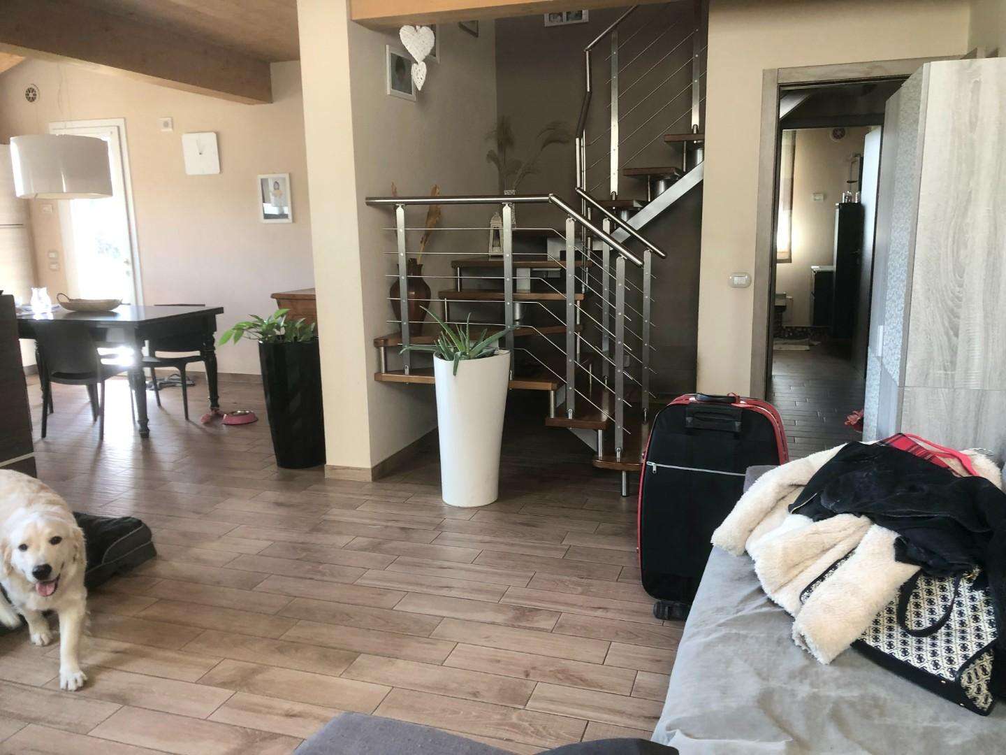  - foto 17