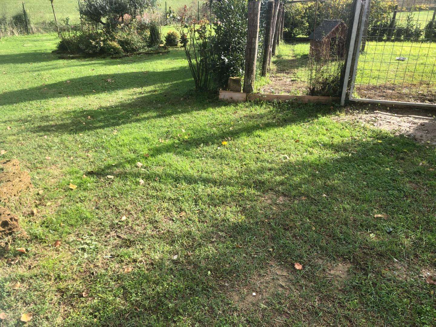  - foto 19