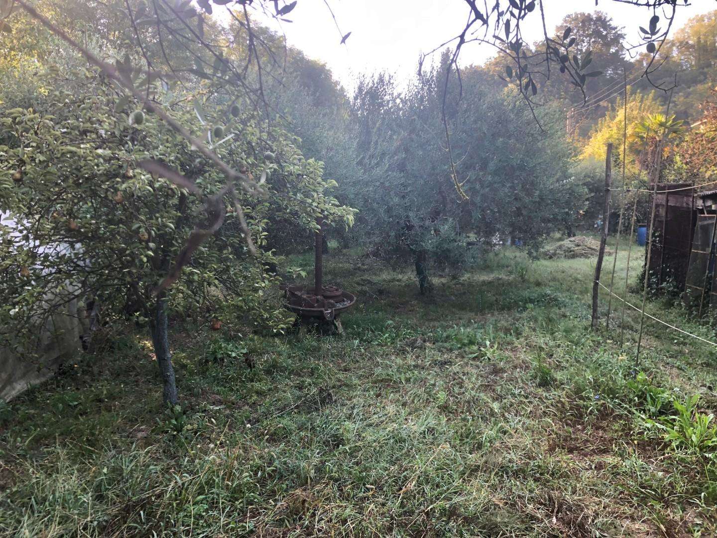immagine annuncio 3 di 11