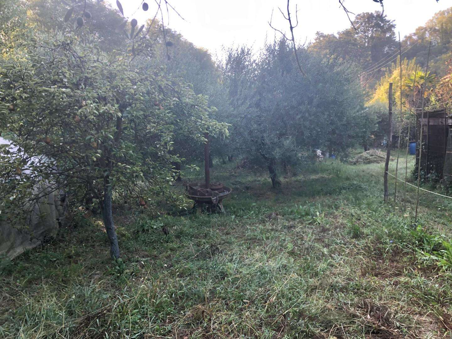 immagine annuncio 7 di 11