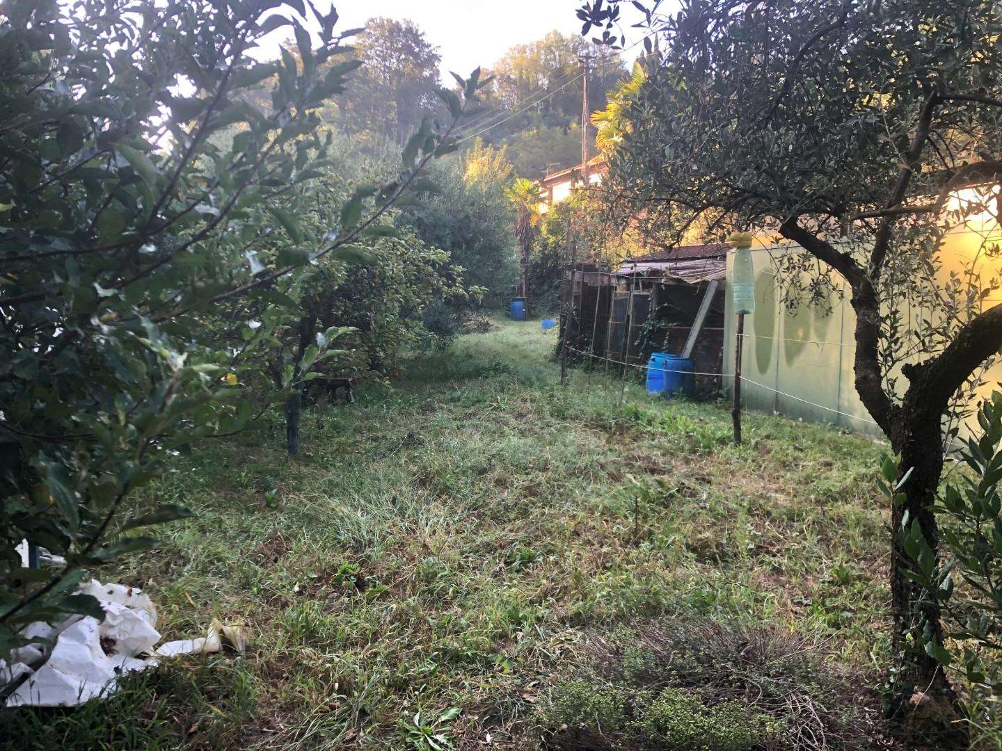 immagine annuncio 8 di 11