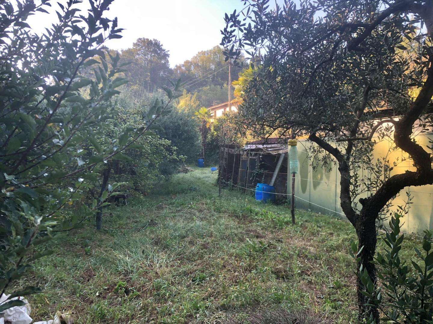 immagine annuncio 9 di 11
