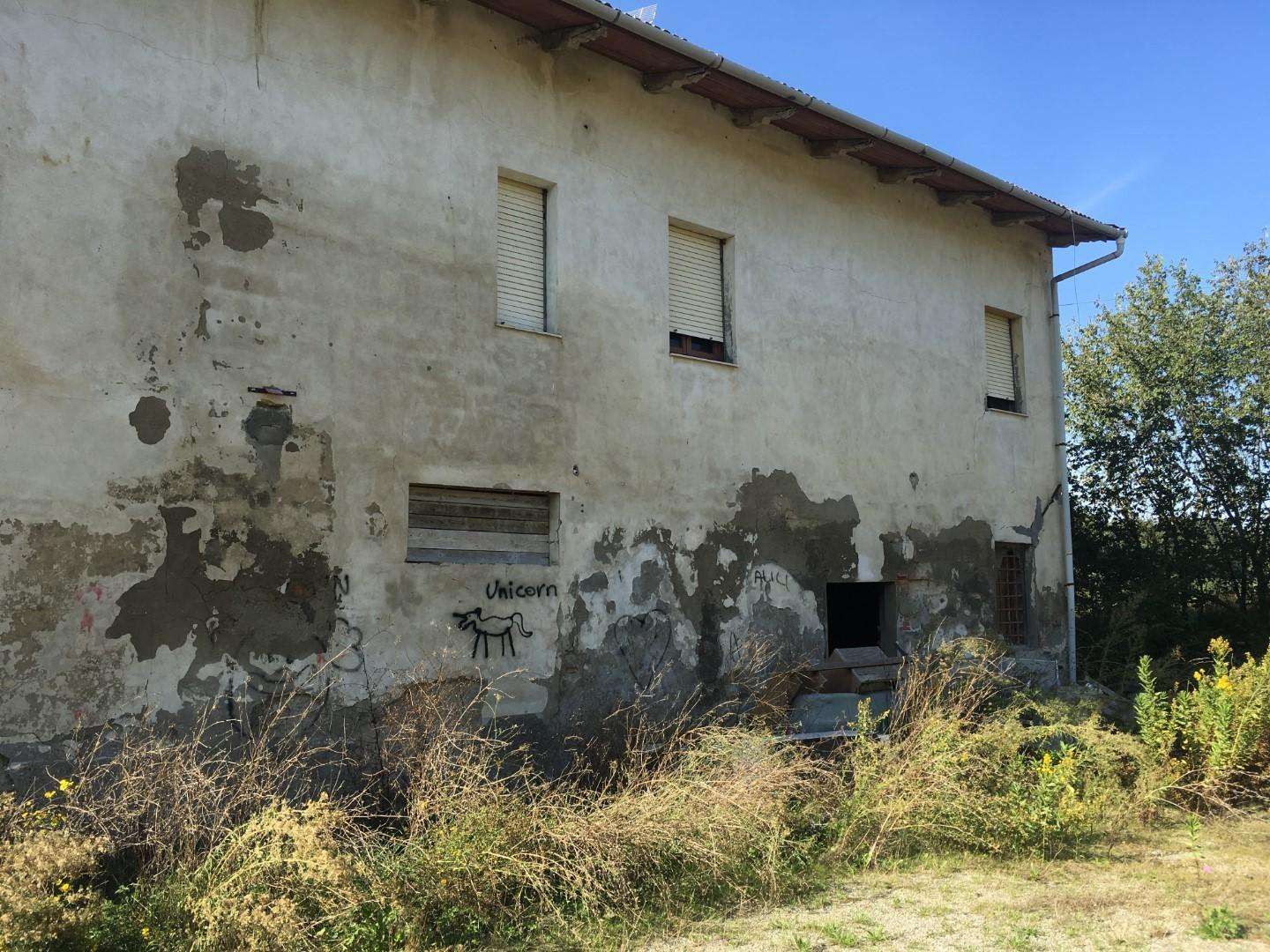  - foto 5