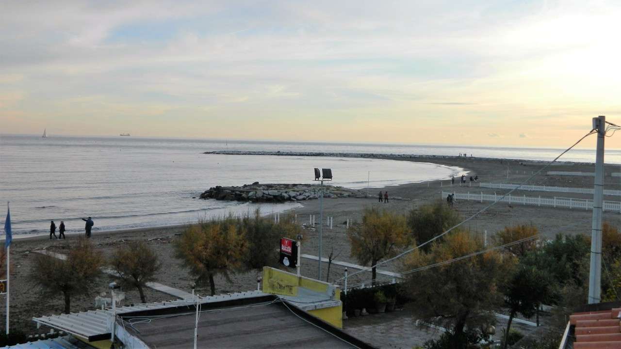 immagine annuncio 4 di 13