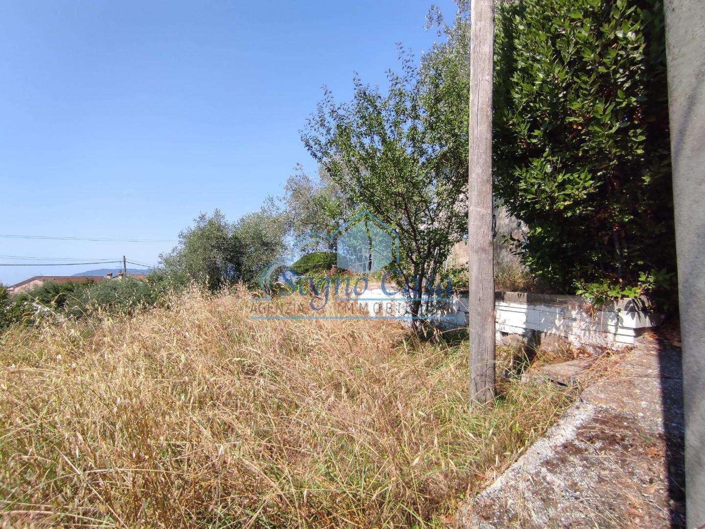  - foto 15
