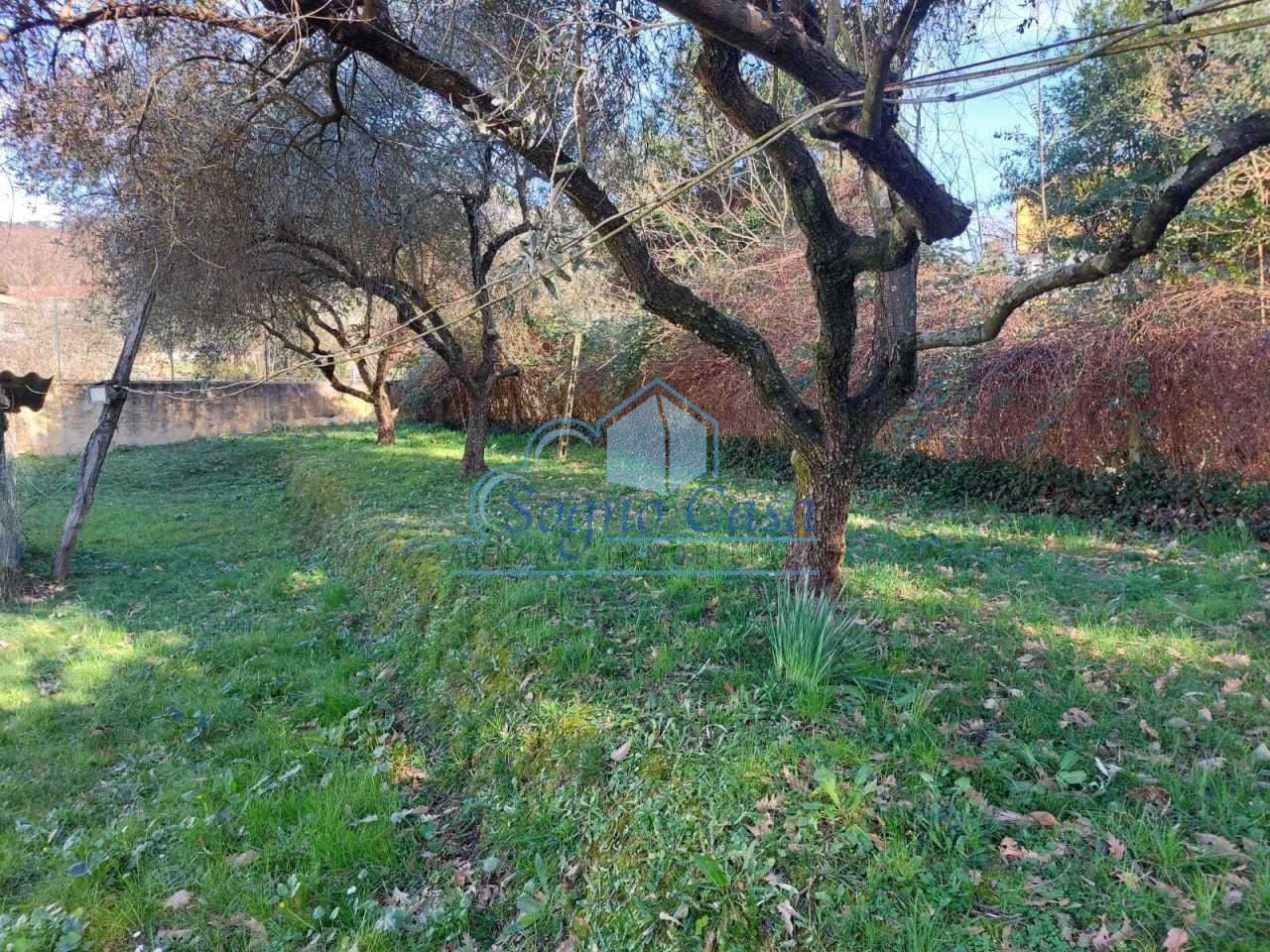 - foto 35