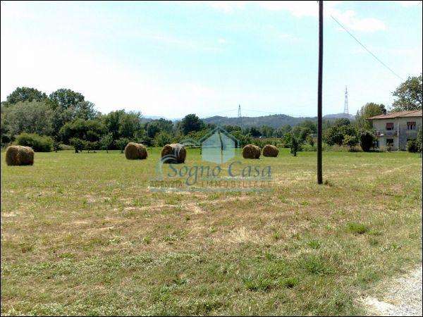 Terreno agricolo in Vendita a Sarzana Sarzana