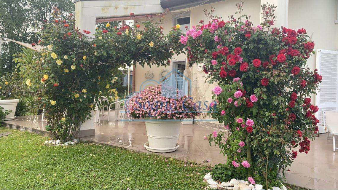  - foto 31