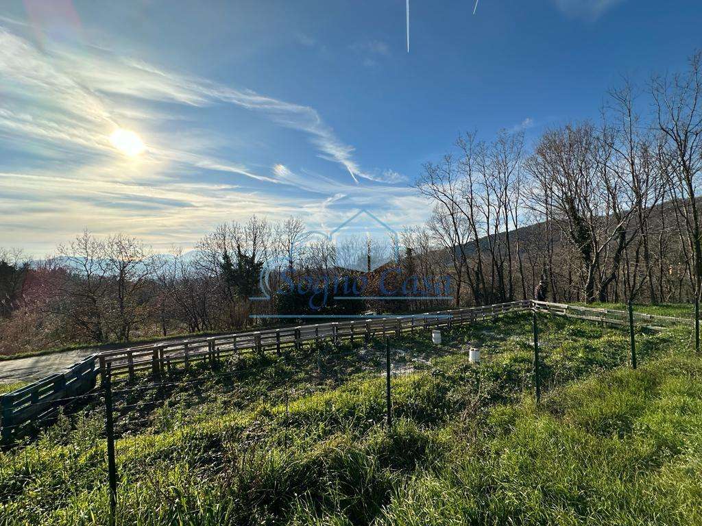  - foto 34